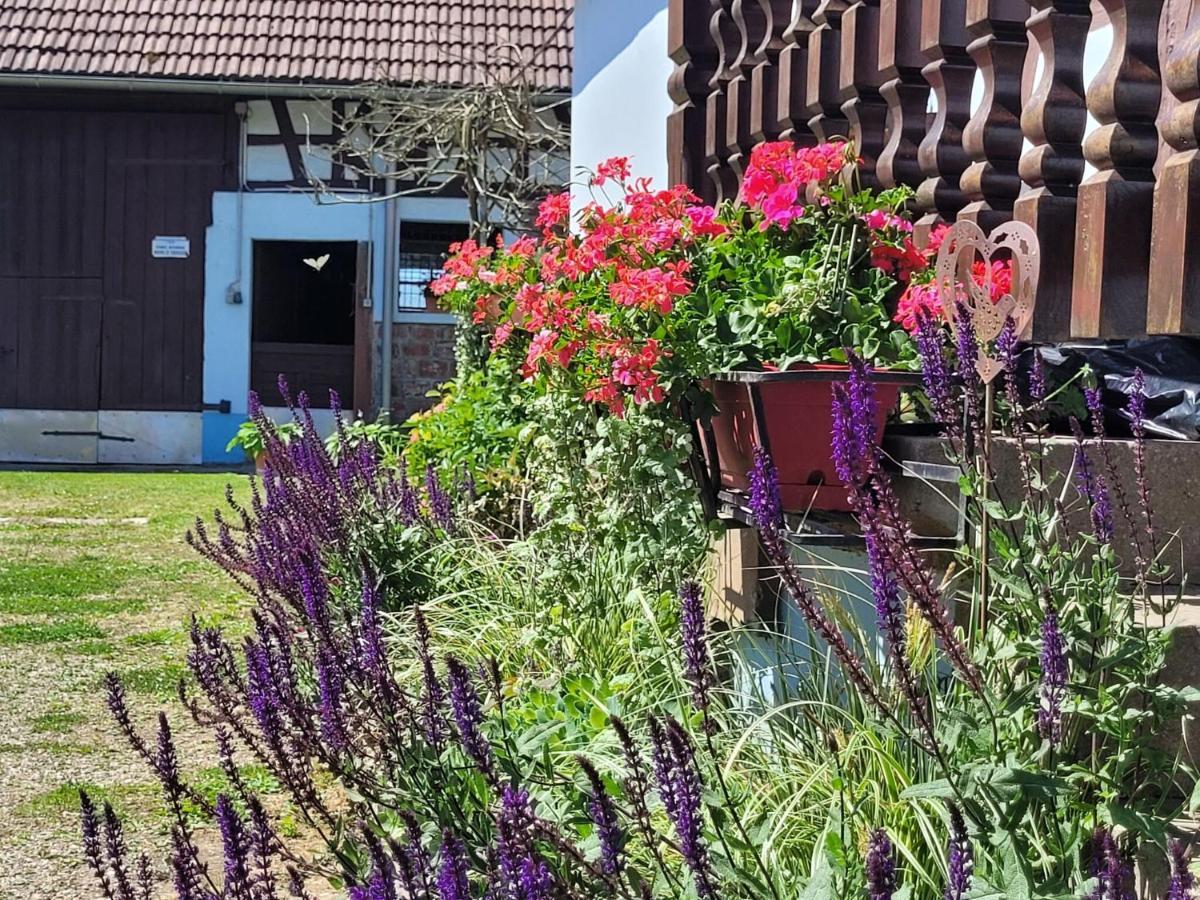Cosy Holiday Home In Schleithal With Garden מראה חיצוני תמונה