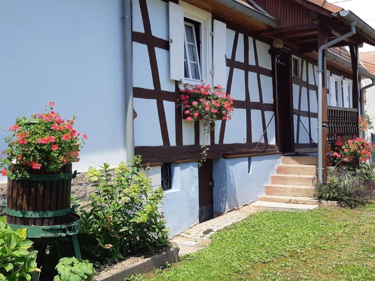 Cosy Holiday Home In Schleithal With Garden מראה חיצוני תמונה