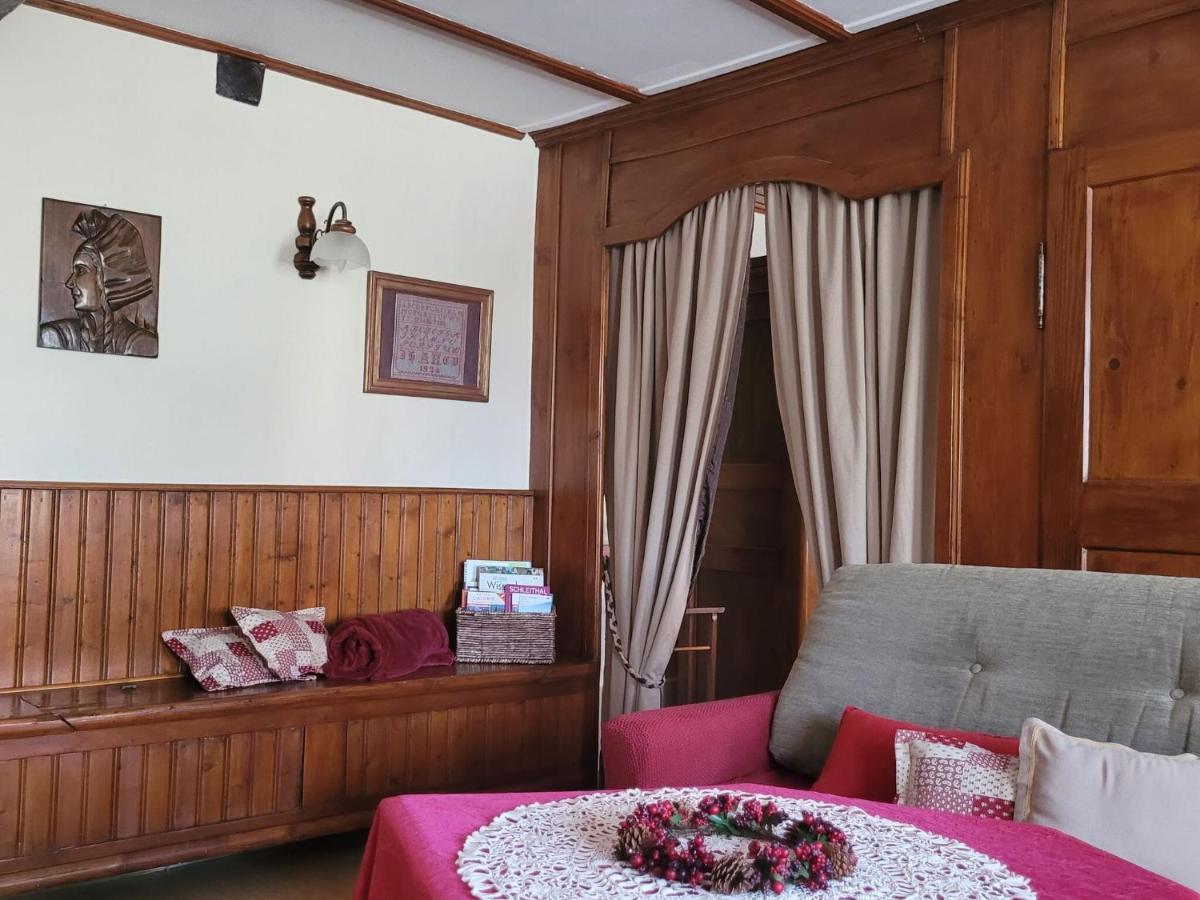 Cosy Holiday Home In Schleithal With Garden מראה חיצוני תמונה