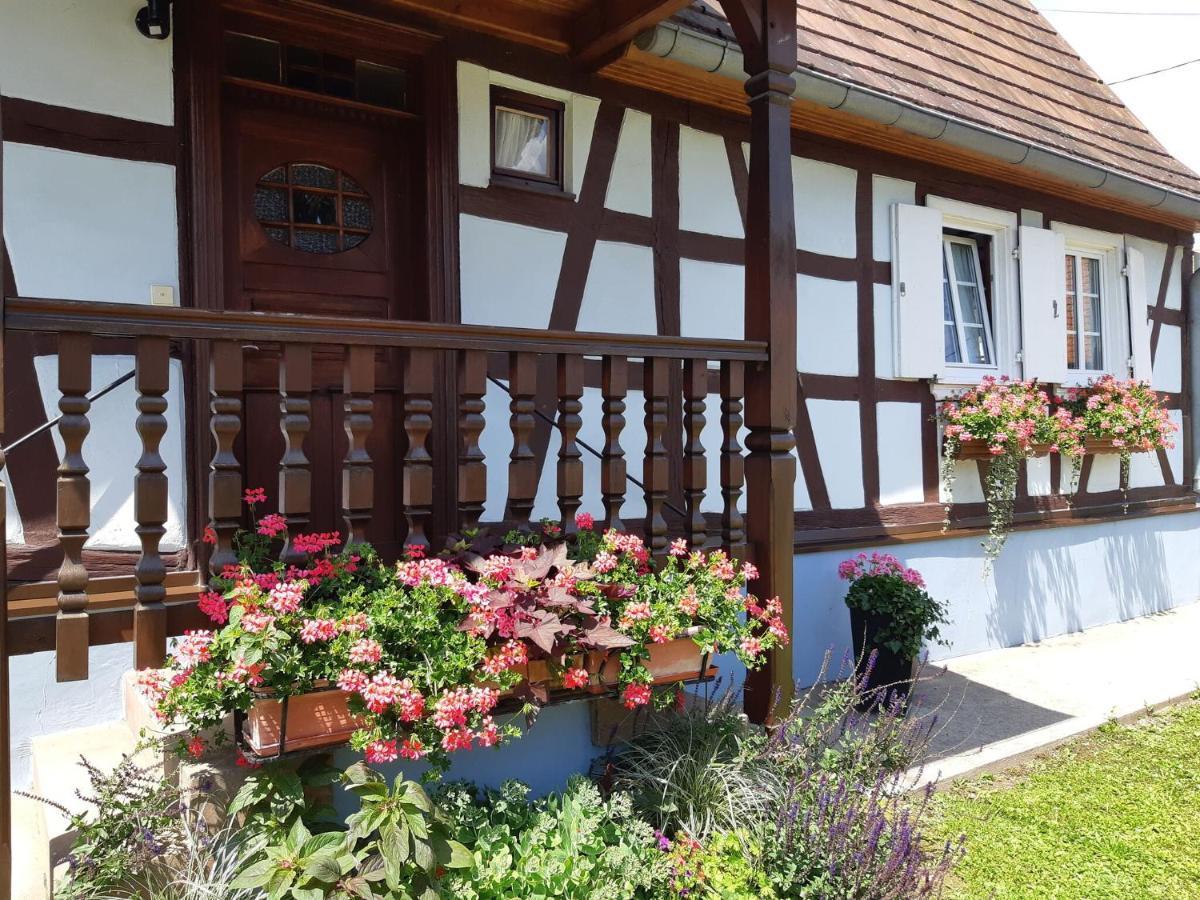 Cosy Holiday Home In Schleithal With Garden מראה חיצוני תמונה